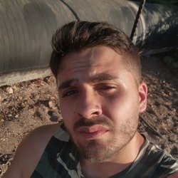 Dan