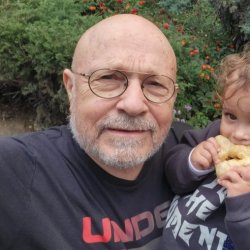 מולי