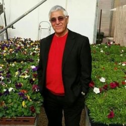 יוסף